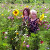 wildflower-mix-kids-american-meadows